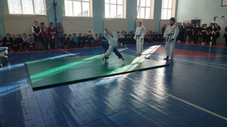 Дзюдо.